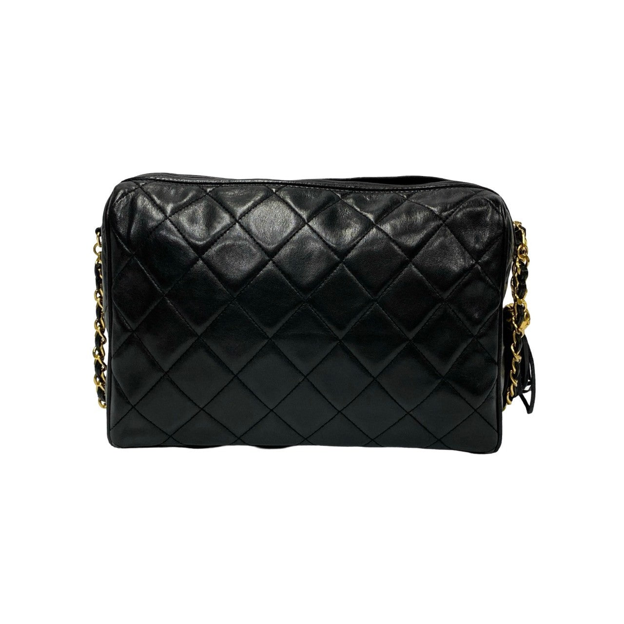Chanel Quilted Leather Tassel Camera Bag Leather Crossbody Bag