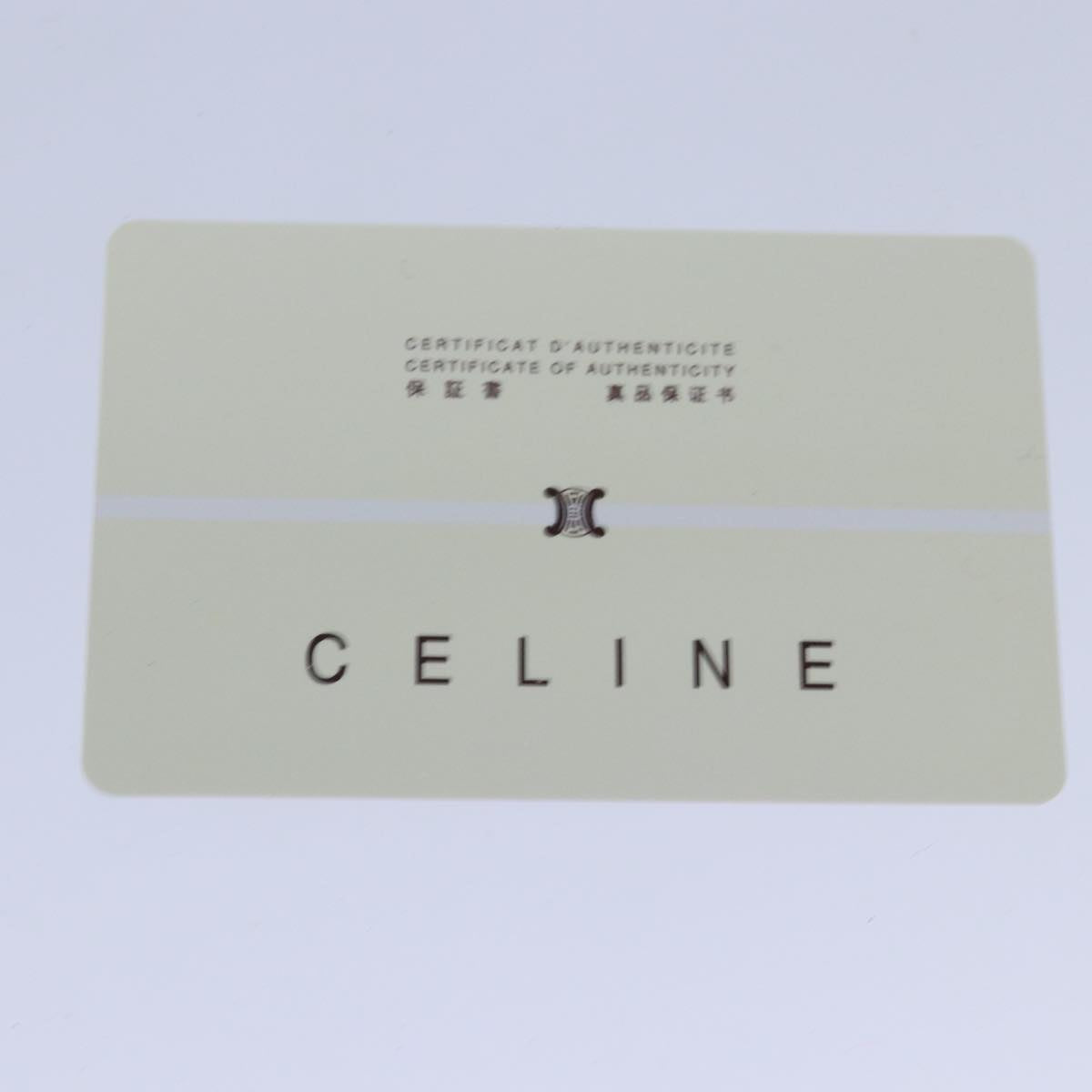 CELINE C Macadam Canvas Hand Bag Suede Light Blue 81050