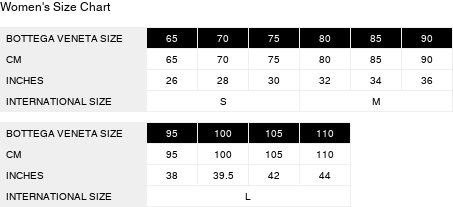 Bottega Veneta The Belt Chain Leather Pouch