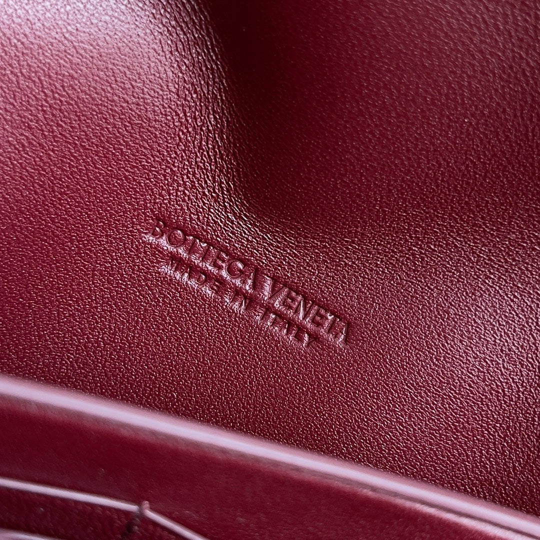 Bottega Veneta ANDIAMO BAG 19 IN BAROLO CALFSKIN