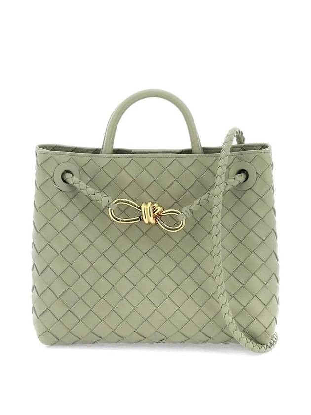 Bottega Veneta Andiamo Small Tote Bag Green