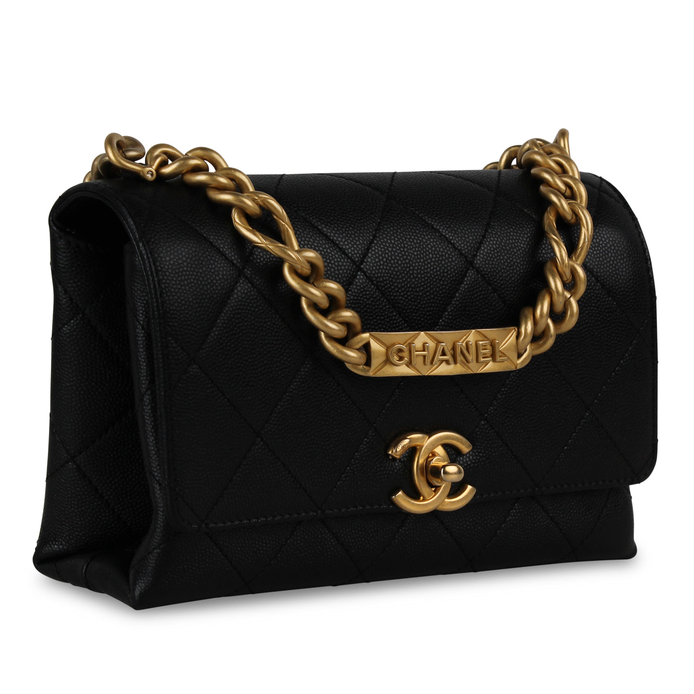 Chanel Chanel Seasonal 21K Flap Bag