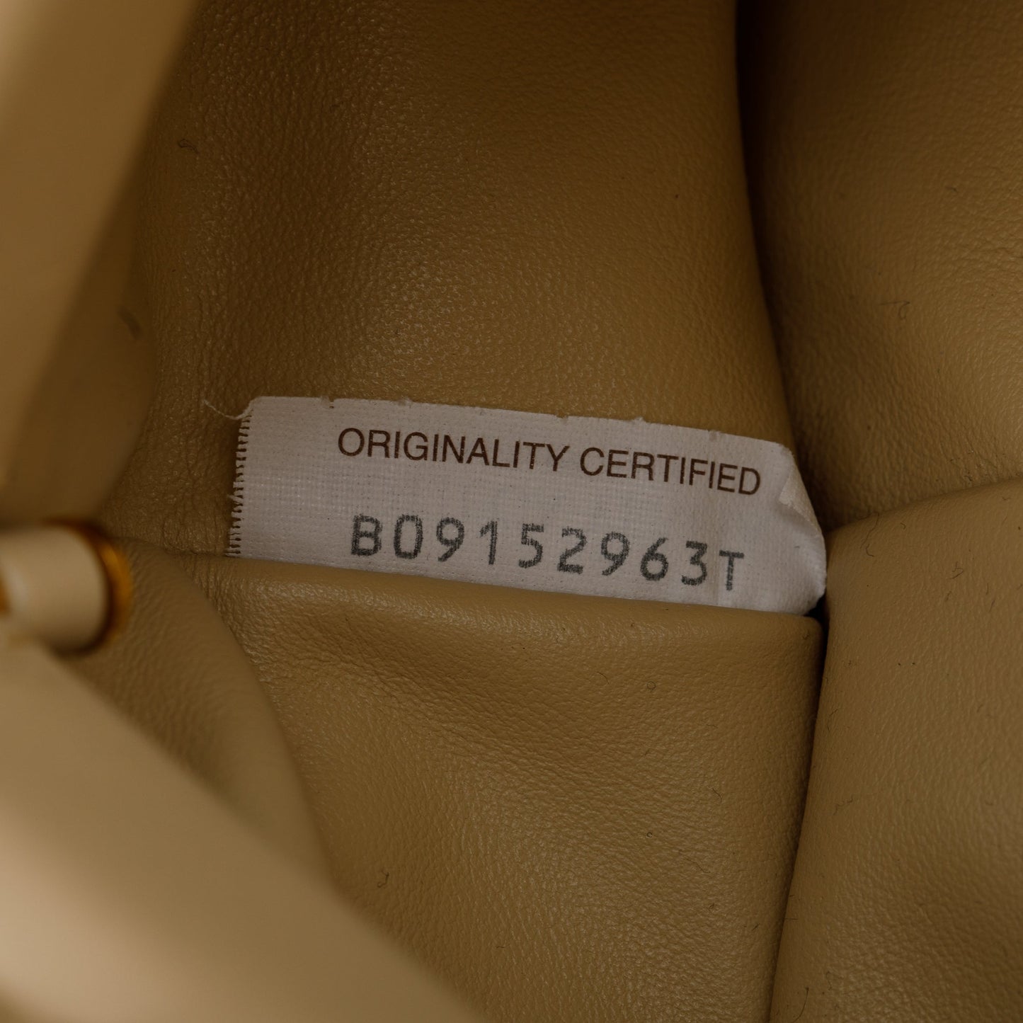 Bottega Veneta Netral Nappa Leather The Chain Pouch