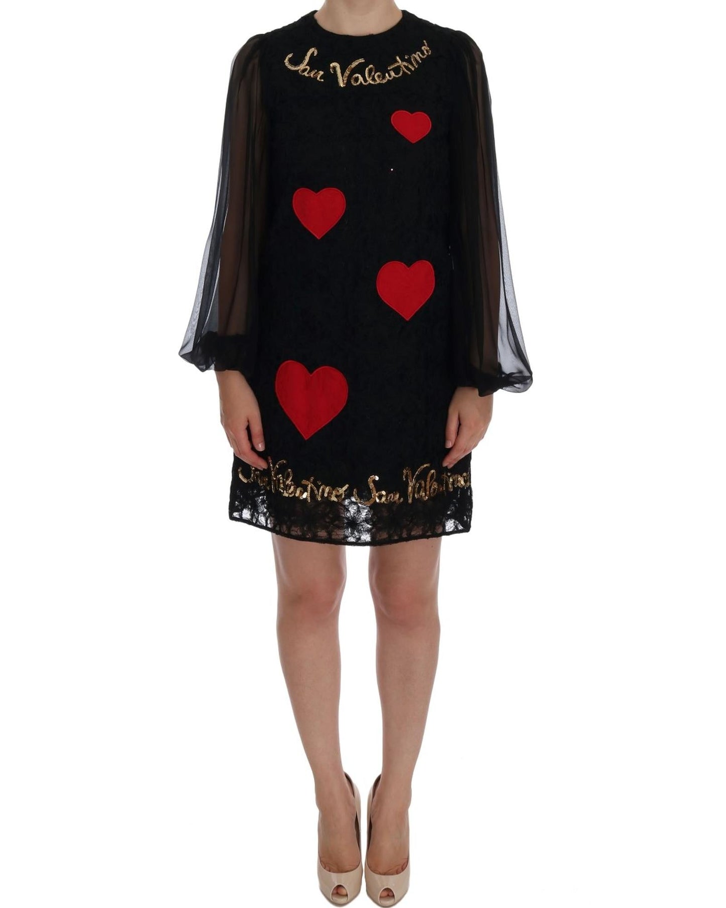 Dolce & Gabbana  San Valentino Embroidered Lace Mini Dress