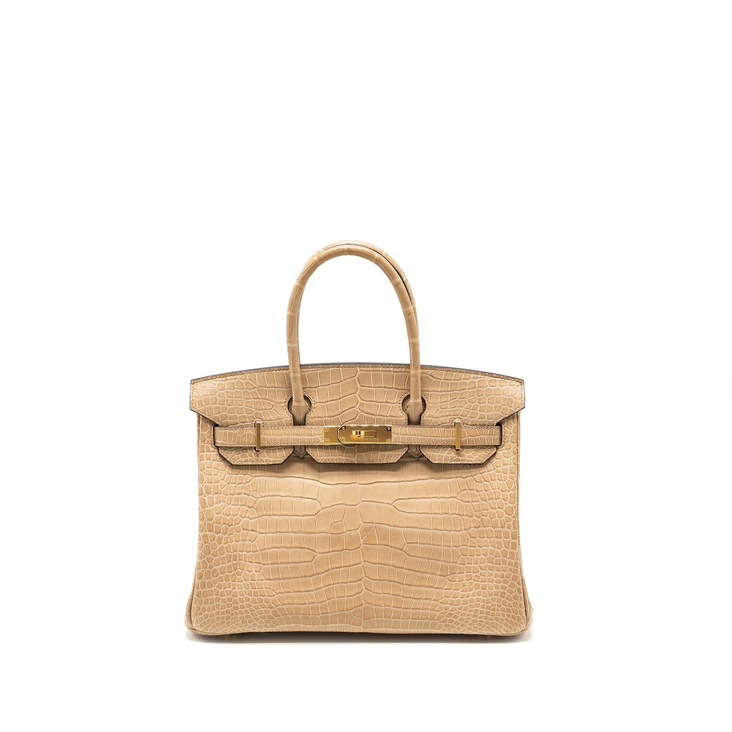 Hermes Birkin 30 Matte Crocodile Porosus Chai GHW Stamp U