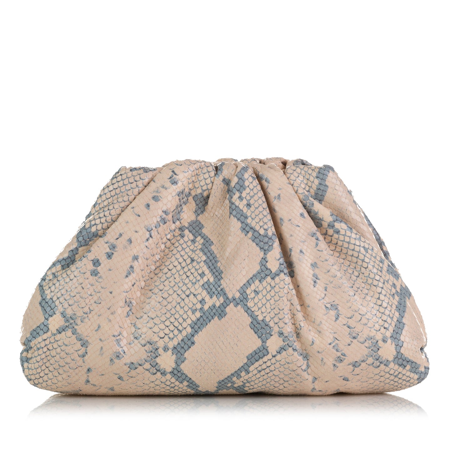 Bottega Veneta Sac Teen Python Print Goatskin Pouch