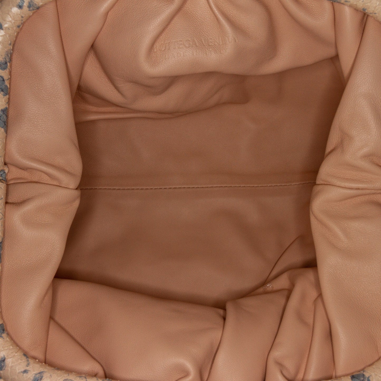 Bottega Veneta Sac Teen Python Print Goatskin Pouch