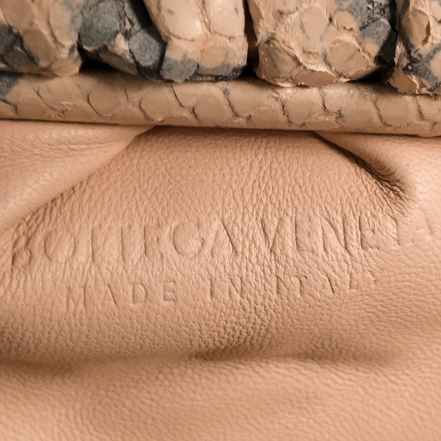 Bottega Veneta Sac Teen Python Print Goatskin Pouch