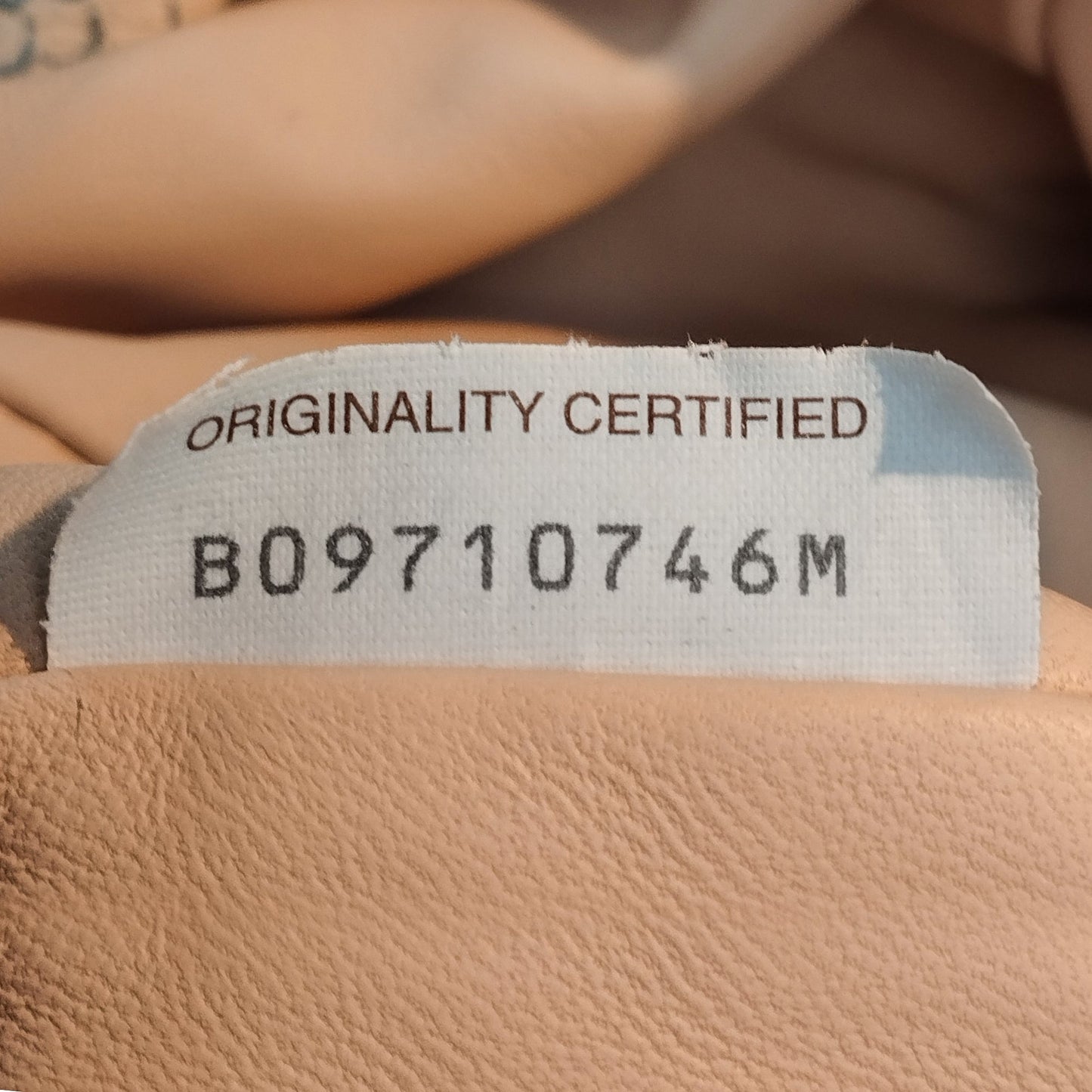 Beige Bottega Veneta Teen Python Print Goatskin Pouch Clutch Bag