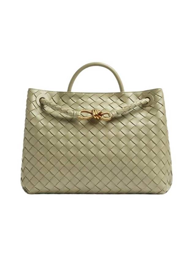 Bottega Veneta Andiamo Medium Tote Bag Travertine