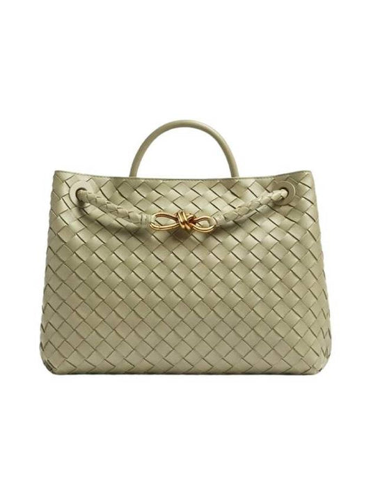 Bottega Veneta Andiamo Medium Tote Bag Travertine
