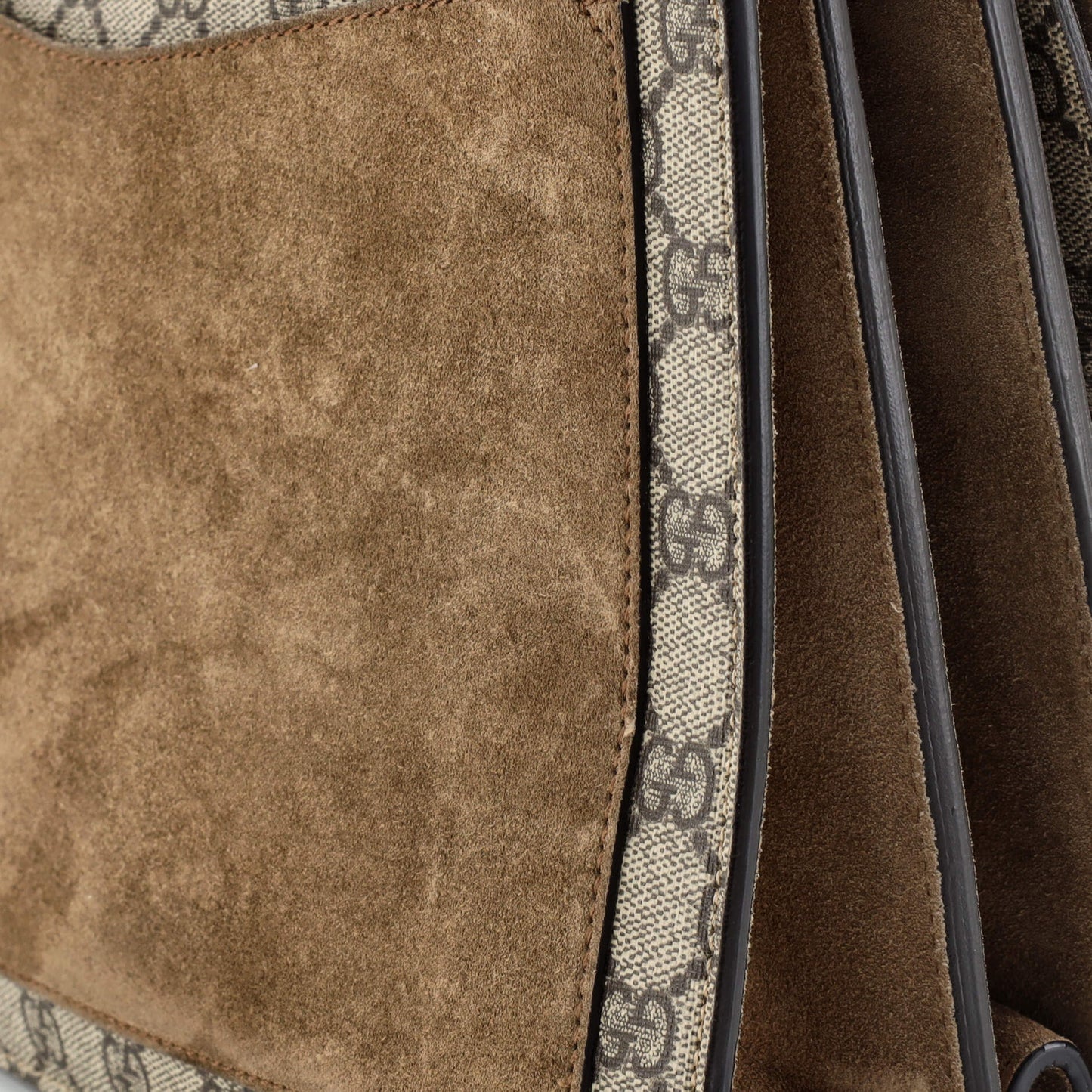 Dionysus Bag GG Coated Canvas Medium