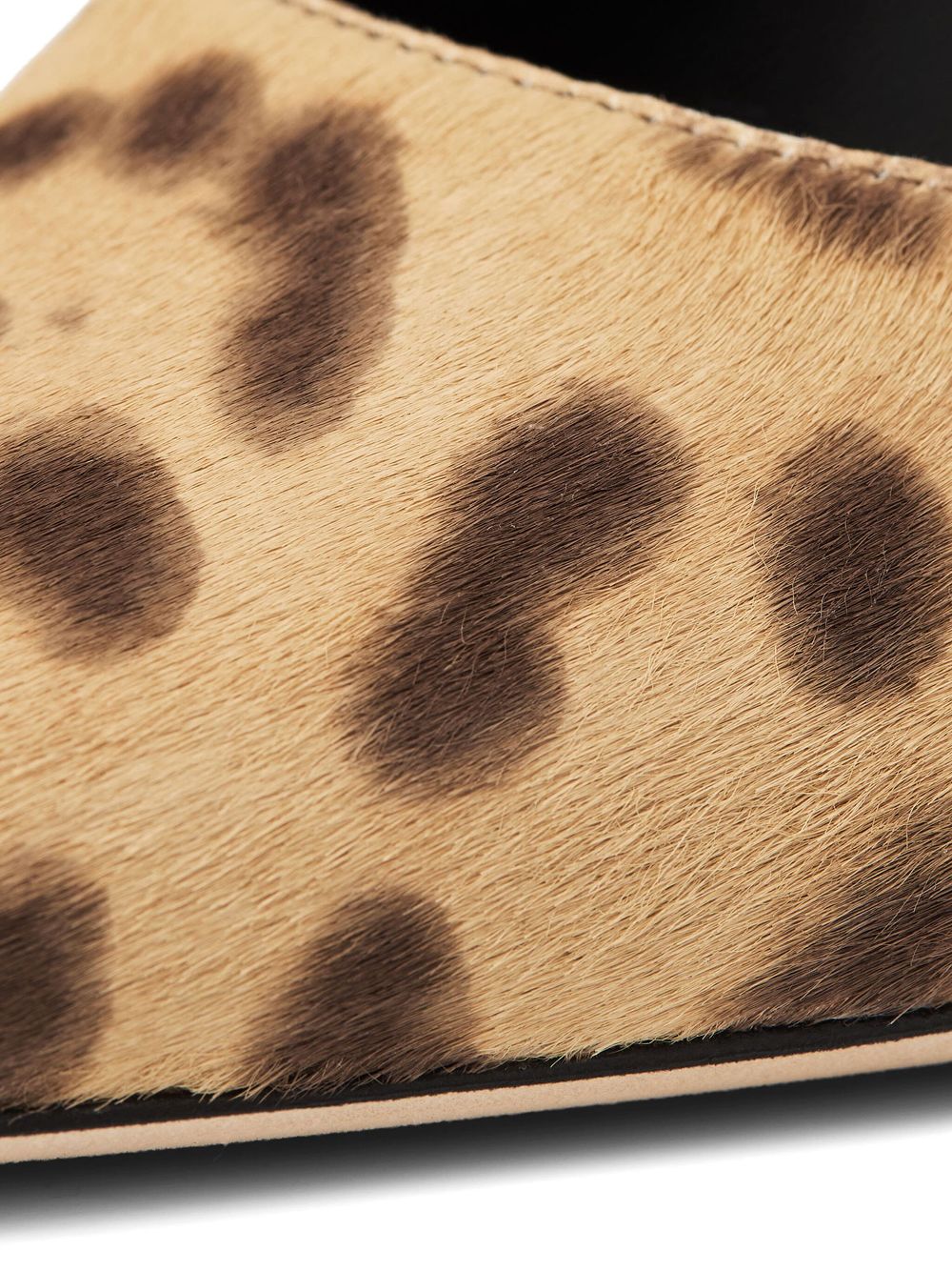 Jimmy Choo Women Love Leopard Pumps